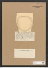Campylodiscus japonicus Castr. (de-Toni-Nr.: Genus 57, Species 2470) Zeichnungen Sammlung Grunow Nr. 4969 (NHMW-BOT-W0373198)